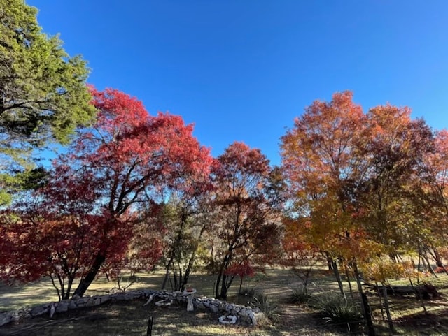 view of mother earth's splendor