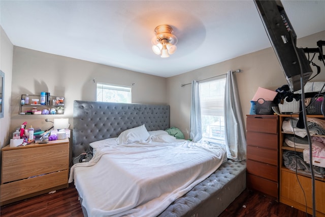 bedroom featuring dark hardwood / wood-style flooring, multiple windows, and ceiling fan