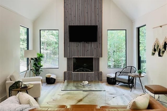 living room featuring high vaulted ceiling