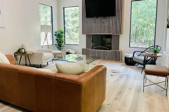 living room with light hardwood / wood-style floors