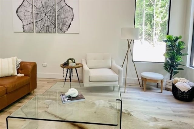 living area featuring light hardwood / wood-style floors