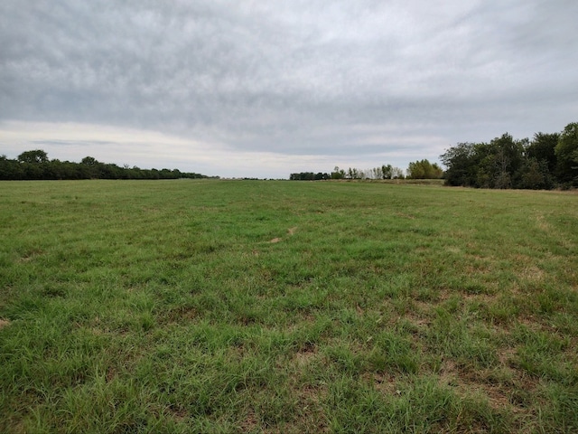 Listing photo 3 for TBD County Road 1157, Brashear TX 75420