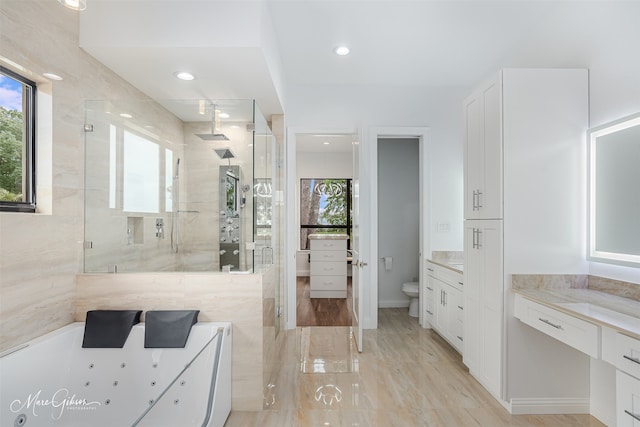 bathroom with walk in shower, vanity, a healthy amount of sunlight, and toilet