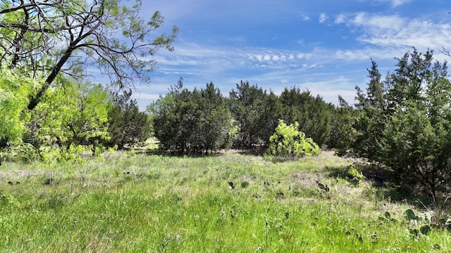 Listing photo 2 for TBD County Road 459, Ranger TX 76470