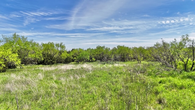 Listing photo 3 for TBD County Road 459, Ranger TX 76470