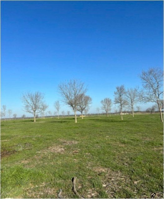 LOT174 And Clb, Corsicana TX, 75109 land for sale