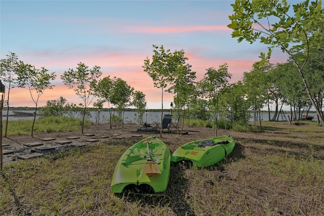 view of yard at dusk