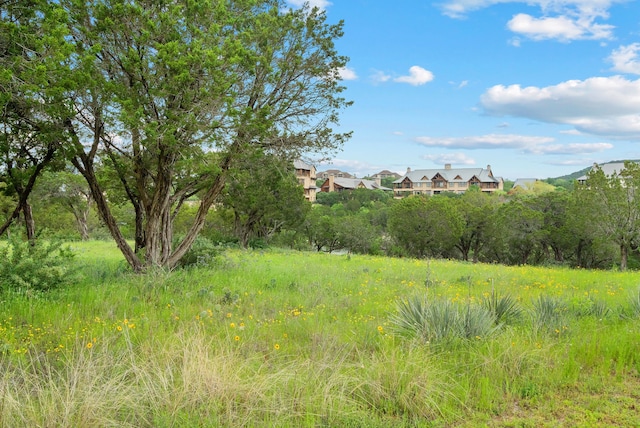 view of nature