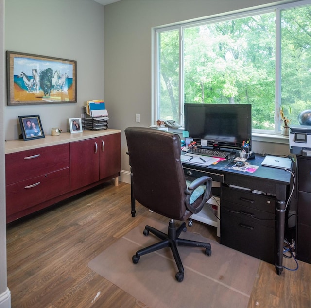 office space with hardwood / wood-style floors