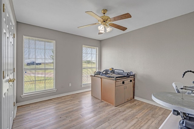 office space featuring light hardwood / wood-style floors and ceiling fan