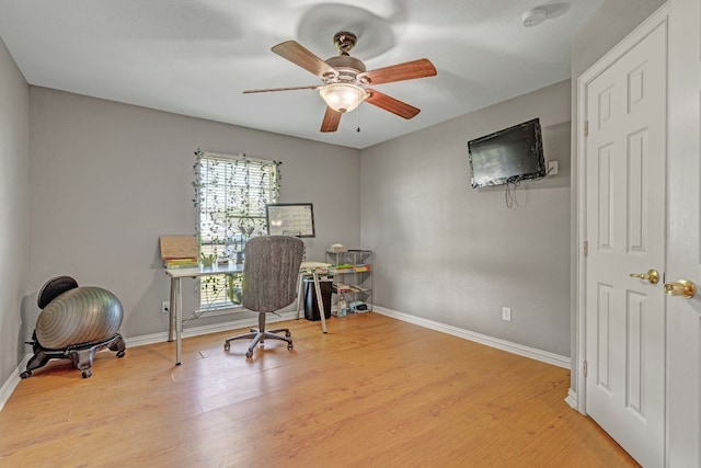 office space featuring light hardwood / wood-style floors and ceiling fan