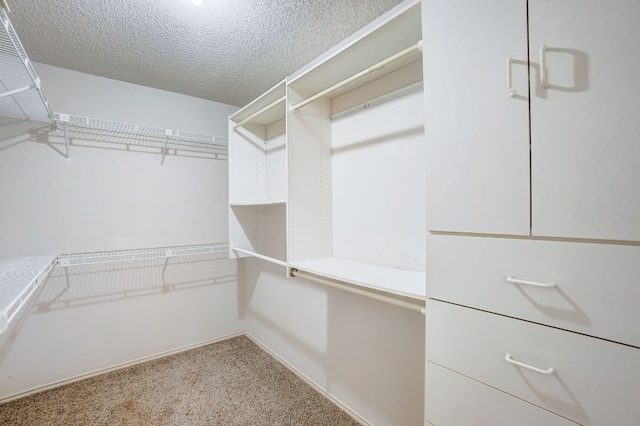 spacious closet featuring light carpet