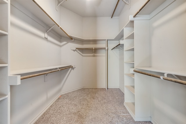 walk in closet featuring light colored carpet