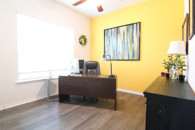 office area with ceiling fan and dark hardwood / wood-style floors