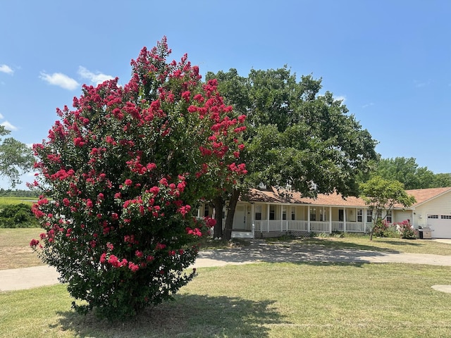 view of front of house with covered porch and a front lawn