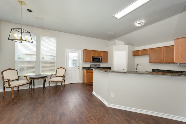 kitchen with an inviting chandelier, dark hardwood / wood-style floors, stainless steel appliances, decorative light fixtures, and sink