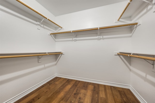 walk in closet with dark hardwood / wood-style floors