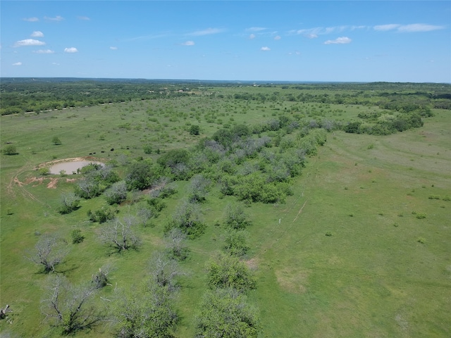 Listing photo 2 for TBD County Road 155, Cisco TX 76437