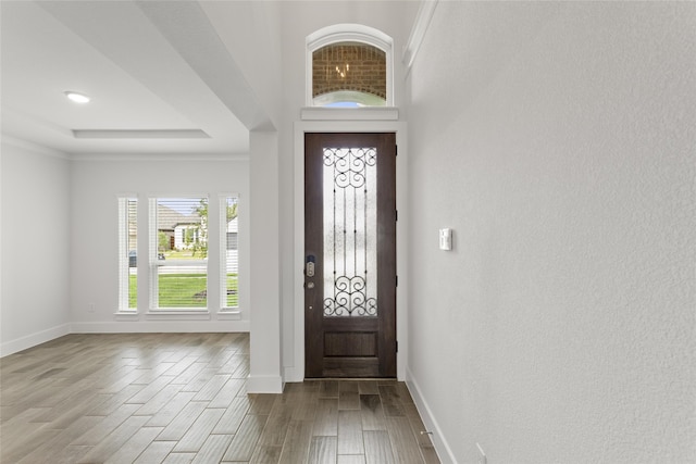 entryway with a raised ceiling and light hardwood / wood-style floors