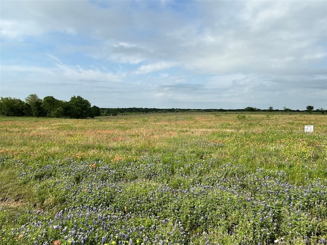 Listing photo 2 for TBDPR373 County Road 3373, Hubbard TX 76648