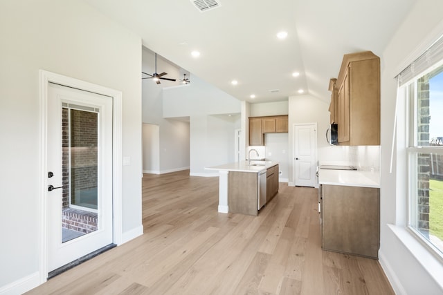 kitchen with light hardwood / wood-style floors, stainless steel appliances, plenty of natural light, and an island with sink