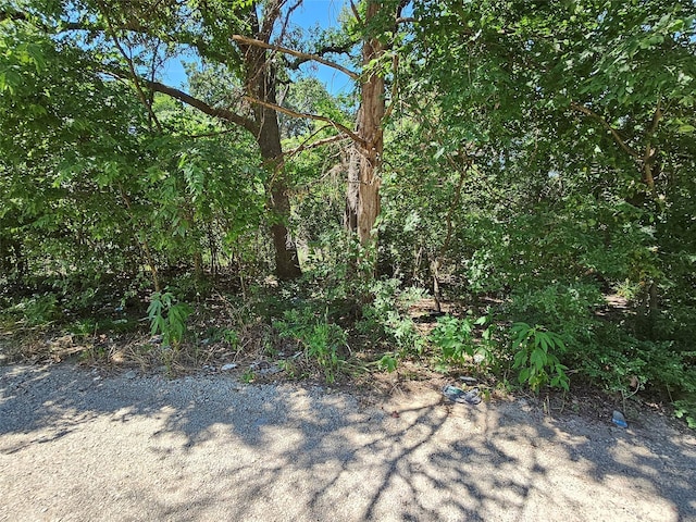 LOT1 Bird Hill Dr, Quinlan TX, 75474 land for sale