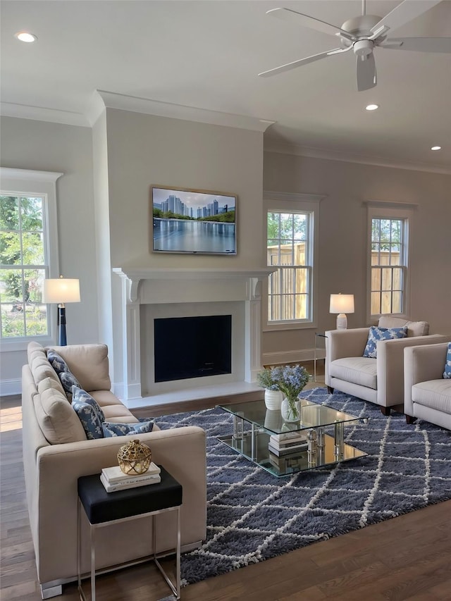 living area featuring plenty of natural light, wood finished floors, a fireplace, and crown molding