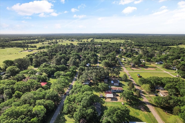 view of bird's eye view