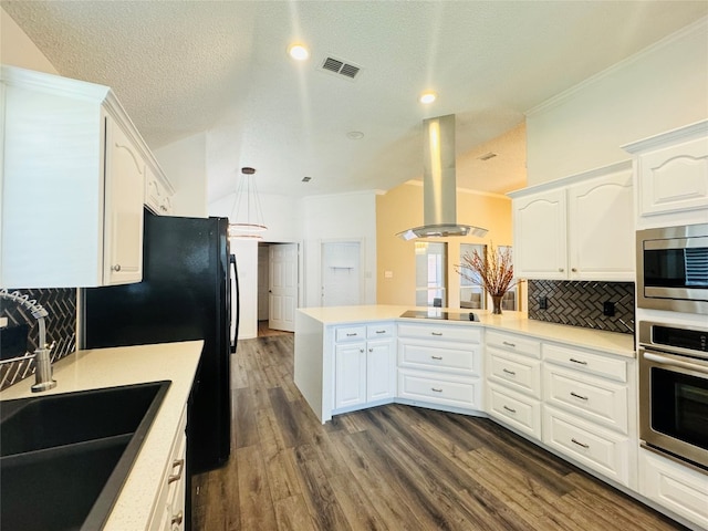 kitchen featuring sink, tasteful backsplash, hardwood / wood-style floors, black appliances, and island exhaust hood