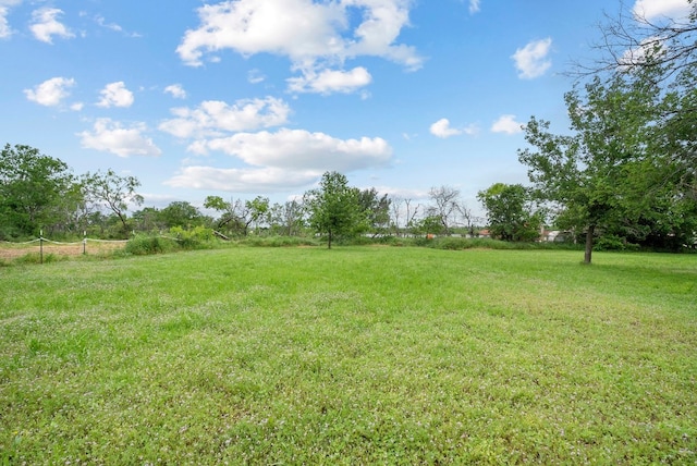 view of yard featuring a rural view