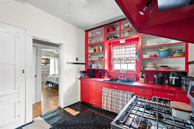 kitchen featuring hardwood / wood-style flooring, ceiling fan, and sink