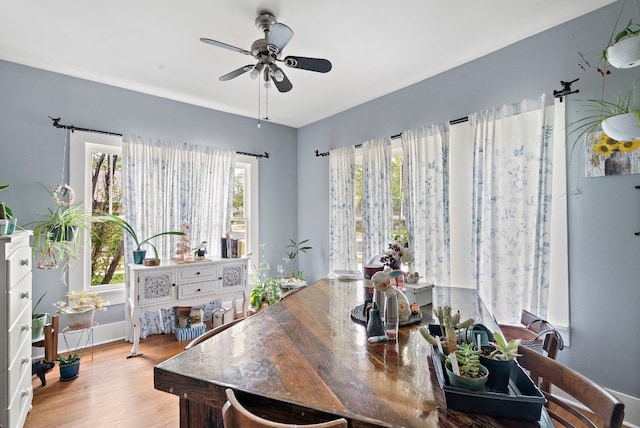 dining room with ceiling fan and hardwood / wood-style flooring