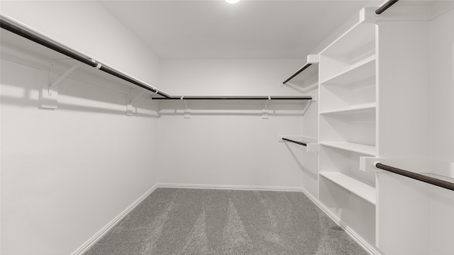 spacious closet with carpet flooring