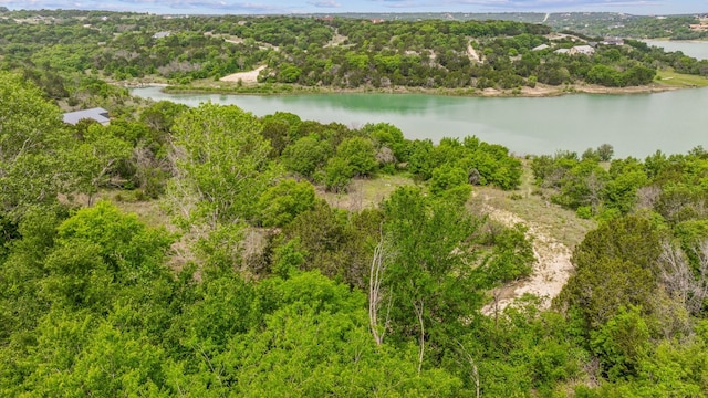 1165 Anchors Way, Bluff Dale TX, 76433 land for sale