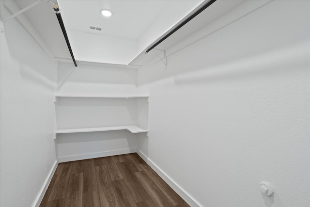 spacious closet with wood-type flooring