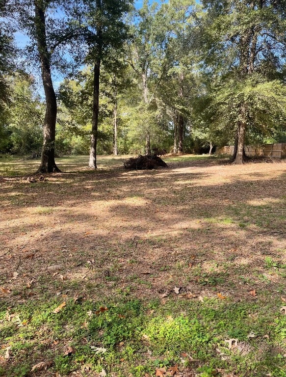 Listing photo 3 for TBD County Road 492, Carthage TX 75633