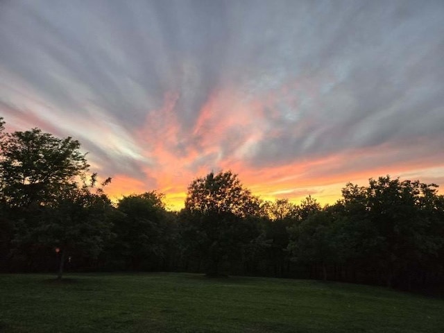 view of yard at dusk