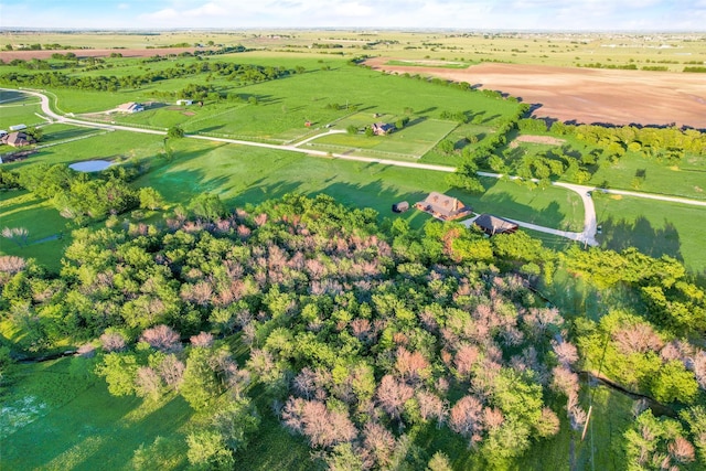 aerial view featuring a rural view and a water view