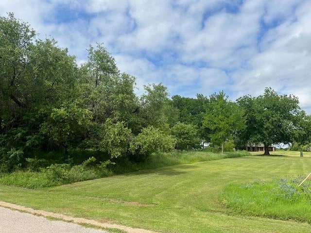 27074 Stonewood Dr, Whitney TX, 76692 land for sale