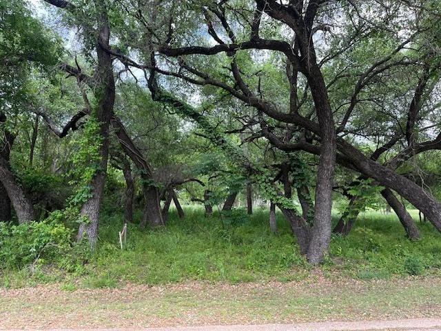 Listing photo 2 for 27074 Stonewood Dr, Whitney TX 76692