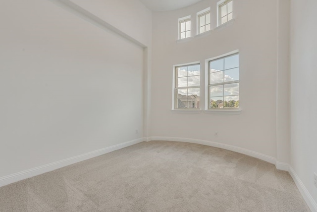 empty room featuring carpet flooring and a high ceiling