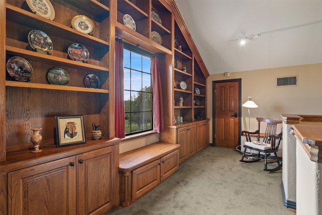 sitting room with rail lighting, vaulted ceiling, and light carpet