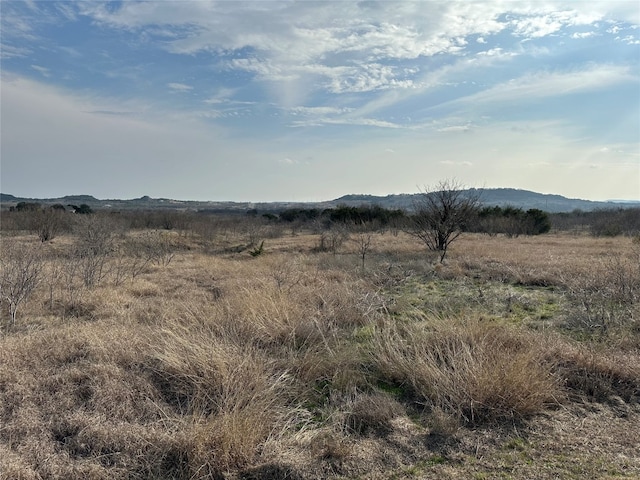 LOT202 Evening Primrose Dr, Graford TX, 76449 land for sale