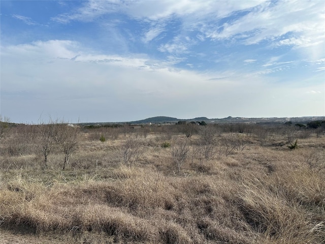 Listing photo 3 for LOT202 Evening Primrose Dr, Graford TX 76449