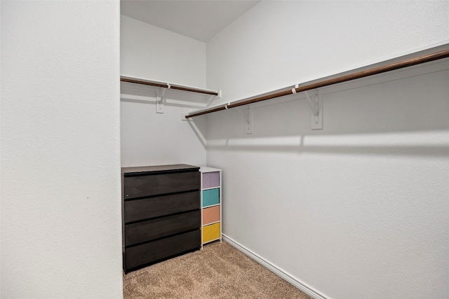 walk in closet featuring carpet floors