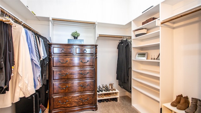 walk in closet with carpet floors