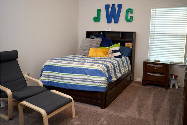 bedroom with carpet flooring