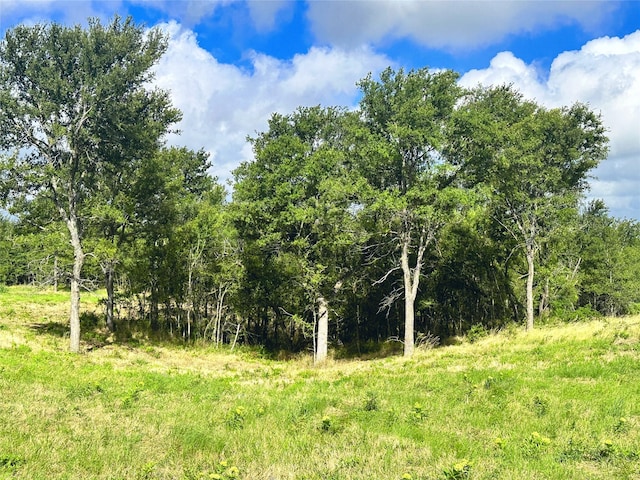 Listing photo 2 for LOT62 Sunset Ct, Corsicana TX 75109