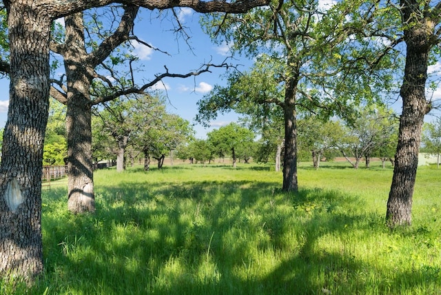 0000 Austin Rd, Perrin TX, 76488 land for sale