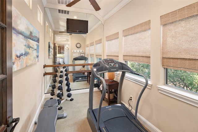 exercise room featuring carpet flooring, ceiling fan, and crown molding